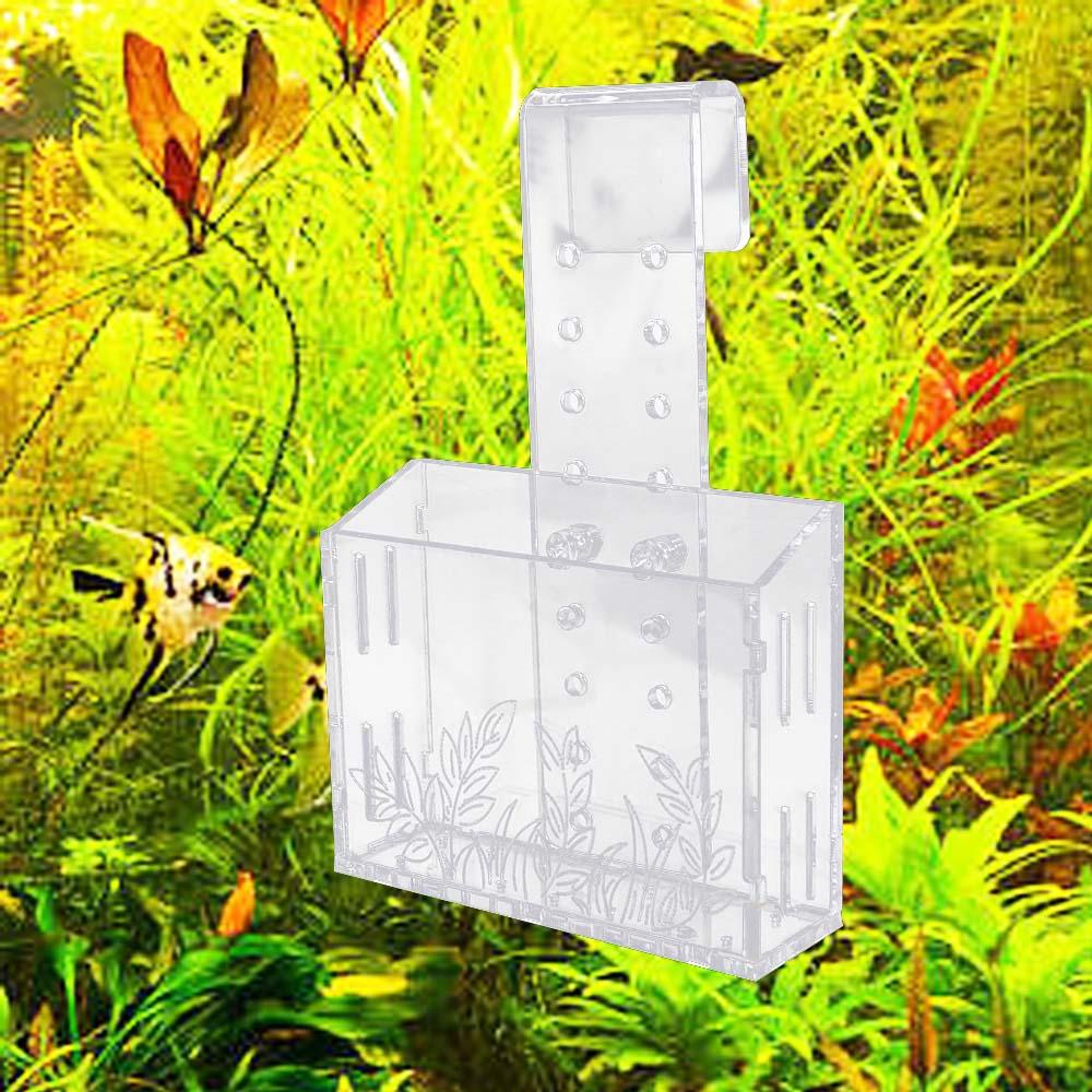 Aquarium Planted Wall - Cangkir Tanaman Akuarium Gantung Dinding Transparan,