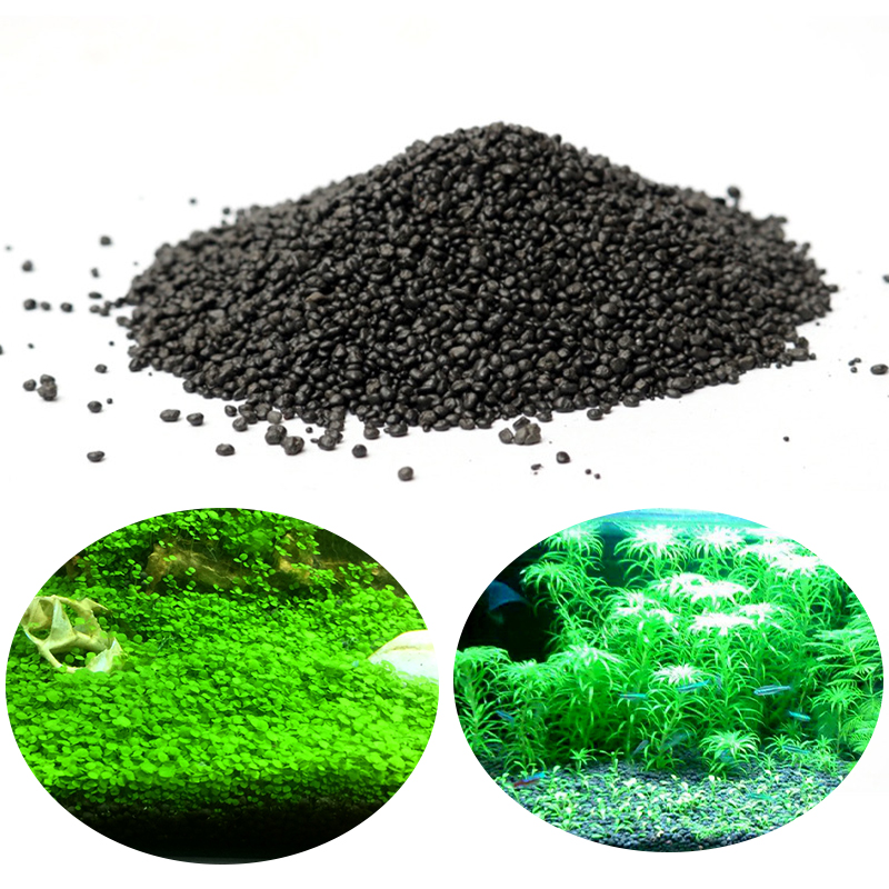 Aquarium Plant Seeds - Akuarium Air Rumput Lumpur Bibit Tanaman