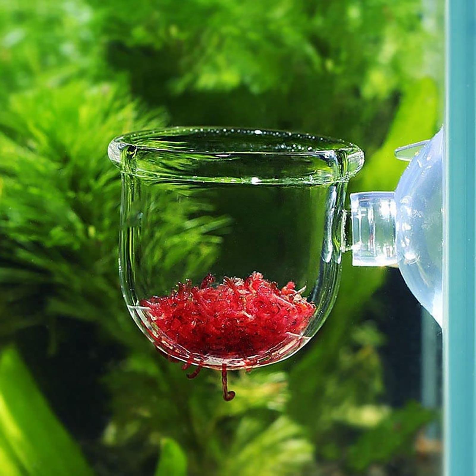 Aquarium Plant Seeds - Pot Tanaman Akuarium Cangkir Silinder Kaca