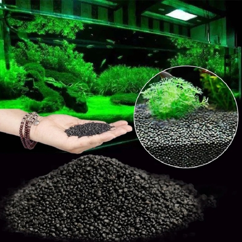 Aquarium Plant Seeds - Tangki Ikan Air Rumput Lumpur Tanaman