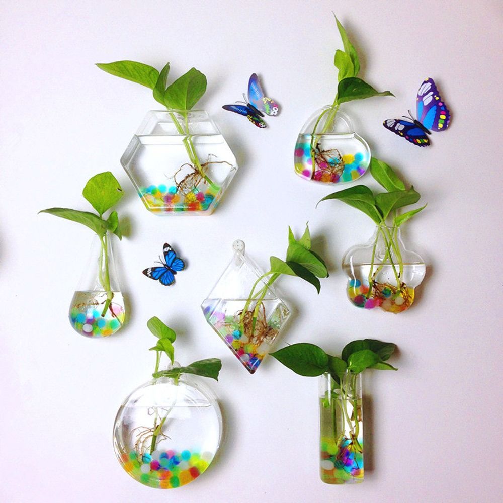 Aquarium Planted Wall - Vas Gantung Dinding Bentuk Kerucut, Akuarium