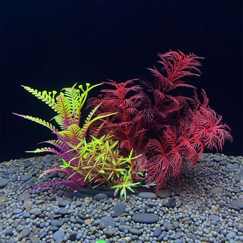 Planted Aquarium For Sale - Tanaman Dekorasi Akuarium Buatan Dekorasi Ikan
