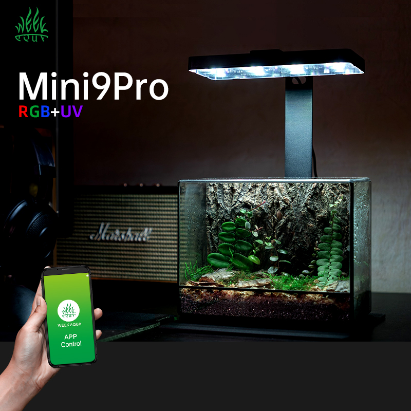 Planted Aquarium For Sale - Lampu Tanaman Mini9pro Nano Terrarium USB,