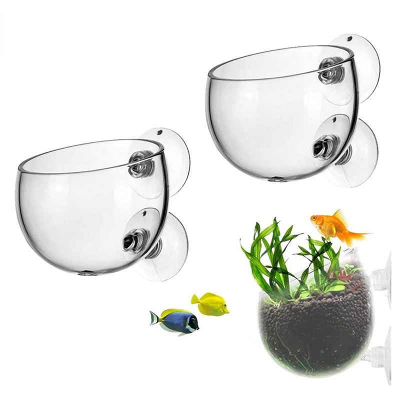 Aquarium Plant Seeds - Pot Tanaman Akuarium Baru, Gelas Silinder