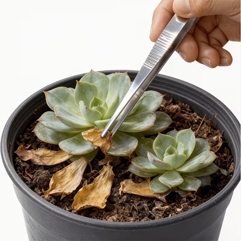 Planted Aquarium Tips - 2 Buah Set Pinset Baja Tahan