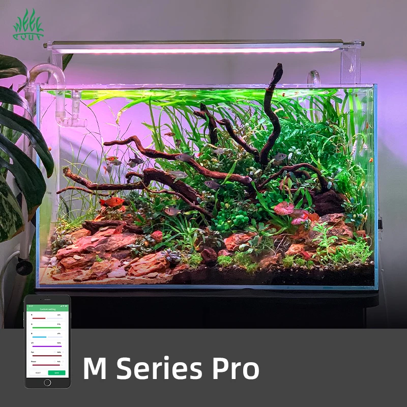 Planted Aquarium For Sale - Lampu Akuarium LED Pintar ZXY Hot