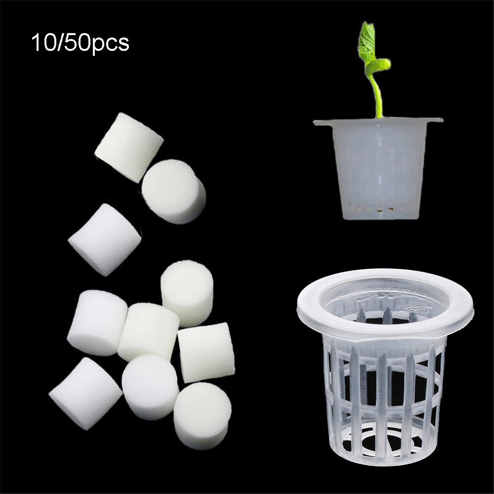 Aquarium Plant Seeds - 10/50 Buah Baki Penyemaian Hidroponik Tanpa