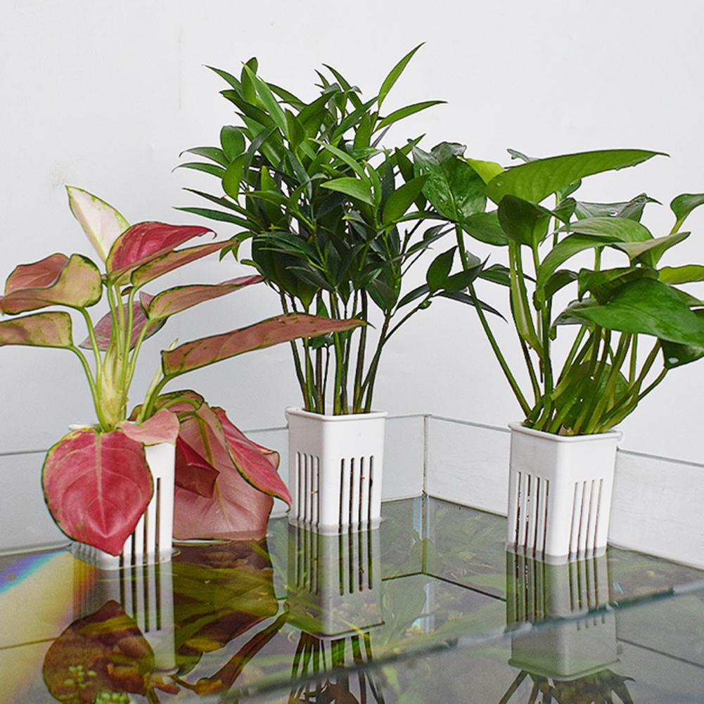 Pot Tanaman Hidroponik, Wadah  - Aquarium Planted Wall ulasan dan harga