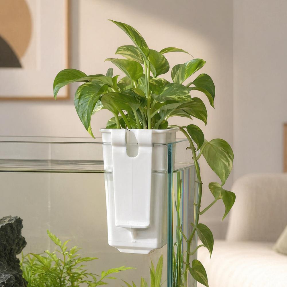 Pot Tanaman Hidroponik, Wadah  - Aquarium Planted Wall ulasan dan harga
