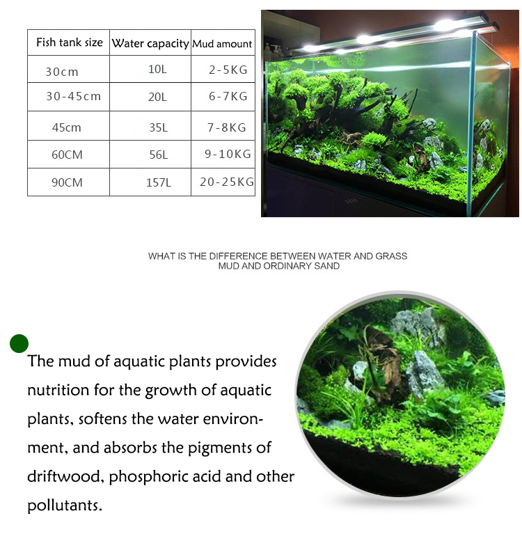 Akuarium Air Rumput Lumpur Bib - Aquarium Plant Seeds ulasan dan harga