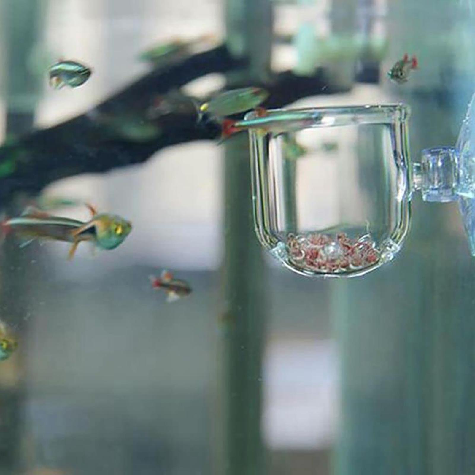 Pot Tanaman Akuarium Cangkir S - Aquarium Plant Seeds ulasan dan harga