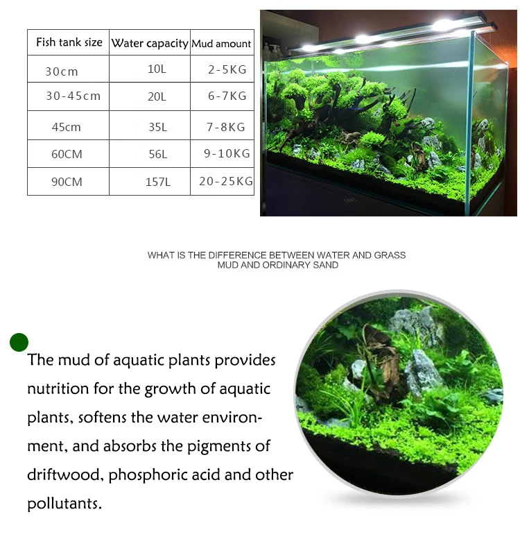 Tangki Ikan Air Rumput Lumpur  - Aquarium Plant Seeds ulasan dan harga