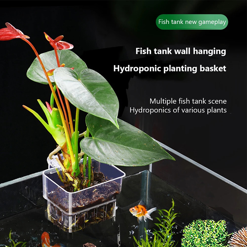 Baru【Tempat Tanaman Akuarium G - Aquarium Planted Wall ulasan dan harga