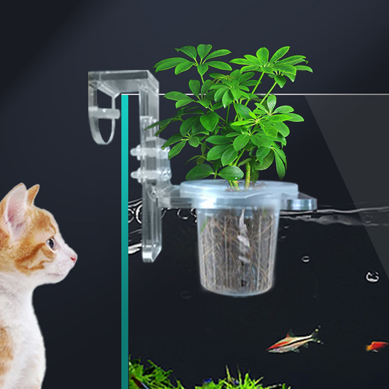 Cangkir tanam tangki ikan, pen - Aquarium Planted Wall ulasan dan harga