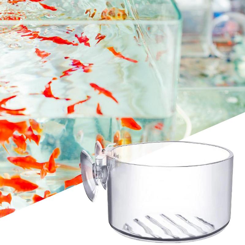 Pot tanaman akuarium cangkir s - Aquarium Plant Seeds ulasan dan harga