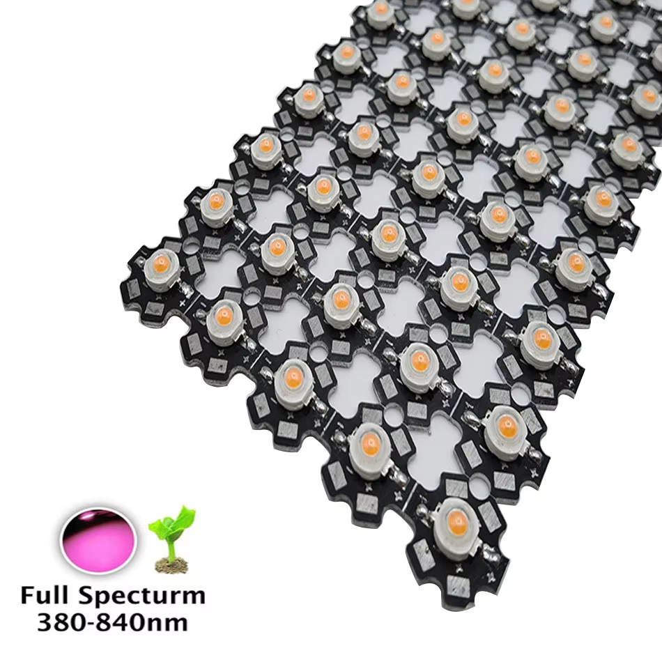 Lampu LED 1W 3W 5W, Chip COB S - Aquarium Plant Seeds ulasan dan harga