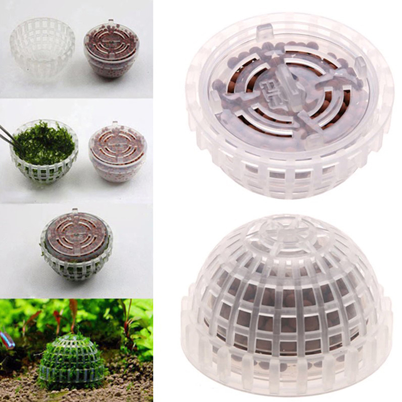Promo Besar Perlengkapan Hewan - Planted Aquarium For Sale ulasan dan harga