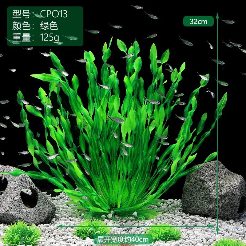 13/23/32/36/40Cm Tanaman Buata - Aquarium Plant Seeds ulasan dan harga
