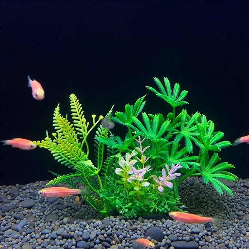 Tanaman Dekorasi Akuarium Buat - Planted Aquarium For Sale ulasan dan harga