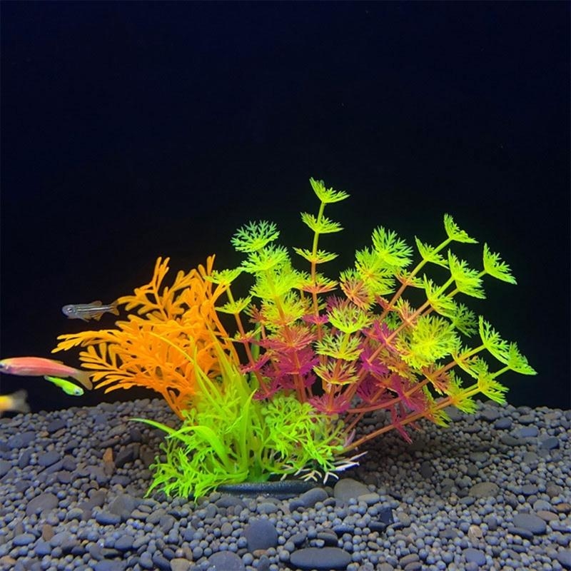Tanaman Dekorasi Akuarium Buat - Planted Aquarium For Sale ulasan dan harga
