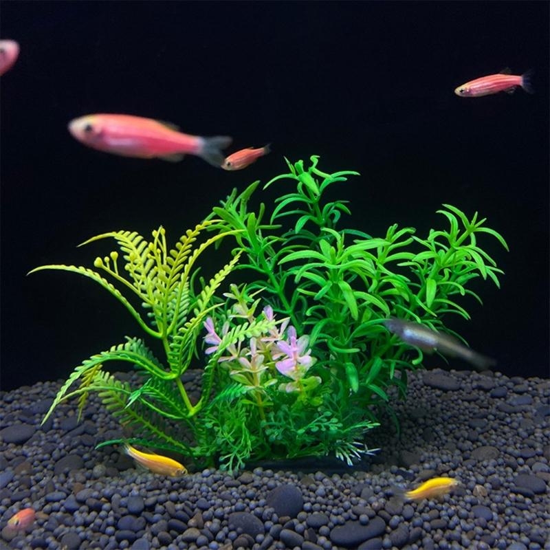 Tanaman Dekorasi Akuarium Buat - Planted Aquarium For Sale ulasan dan harga