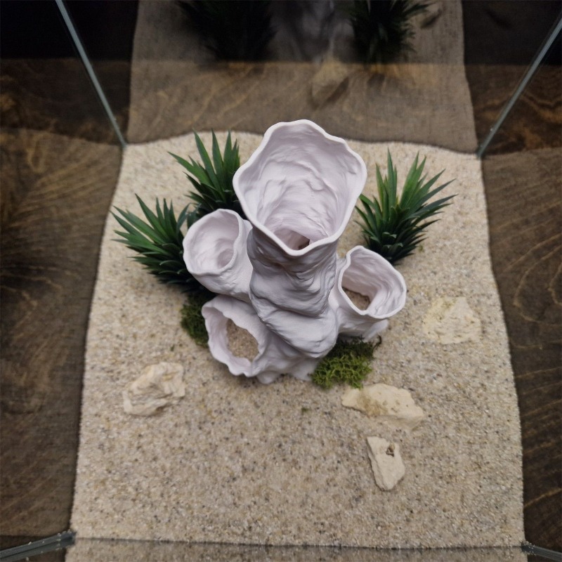 Promo Terbatas Terarium Hias 3 - Planted Aquarium For Sale ulasan dan harga