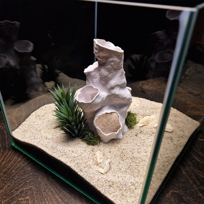 Promo Terbatas Terarium Hias 3 - Planted Aquarium For Sale ulasan dan harga