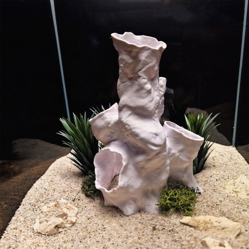 Promo Terbatas Terarium Hias 3 - Planted Aquarium For Sale ulasan dan harga