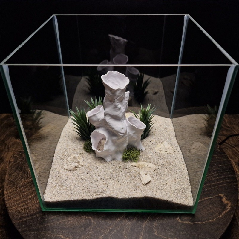 Promo Terbatas Terarium Hias 3 - Planted Aquarium For Sale ulasan dan harga