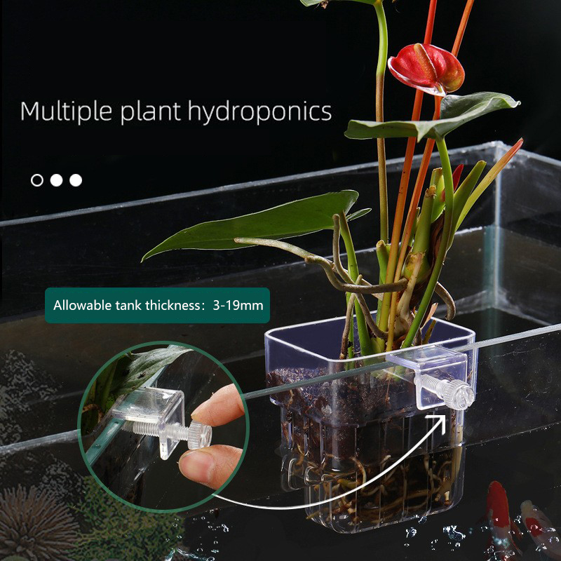 1 buah keranjang tanaman hidro - Aquarium Plant Seeds ulasan dan harga