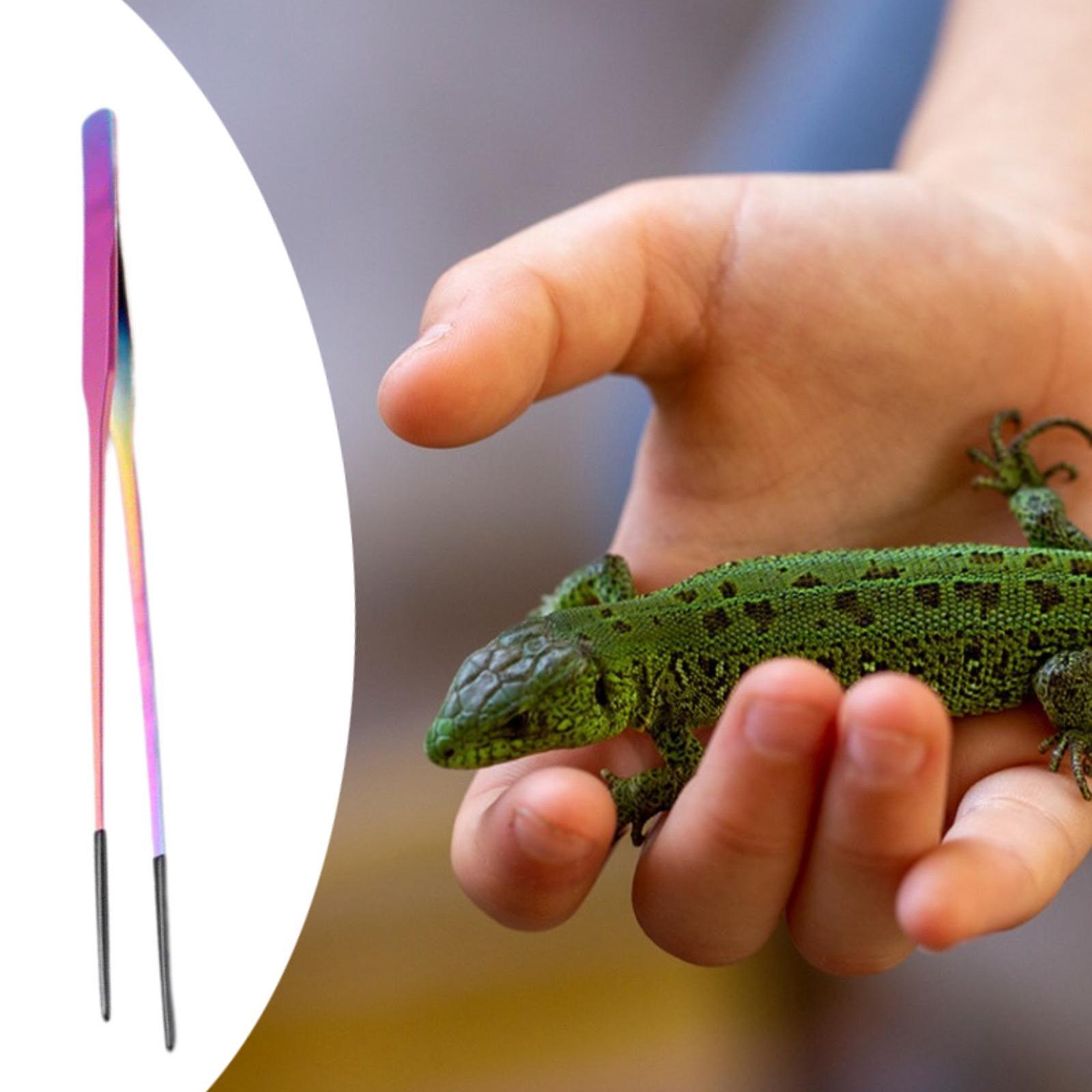 Penjepit Makanan Reptil Ujung  - Planted Aquarium Tips ulasan dan harga