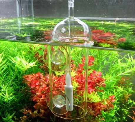 VIV Do perangkat akuarium kaca - Aquarium Plant Order ulasan dan harga