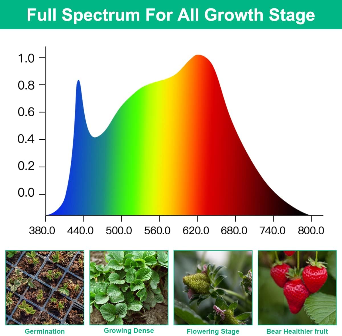 Lampu Tumbuh LED Tanaman Spekt - Aquarium Plant Seeds ulasan dan harga