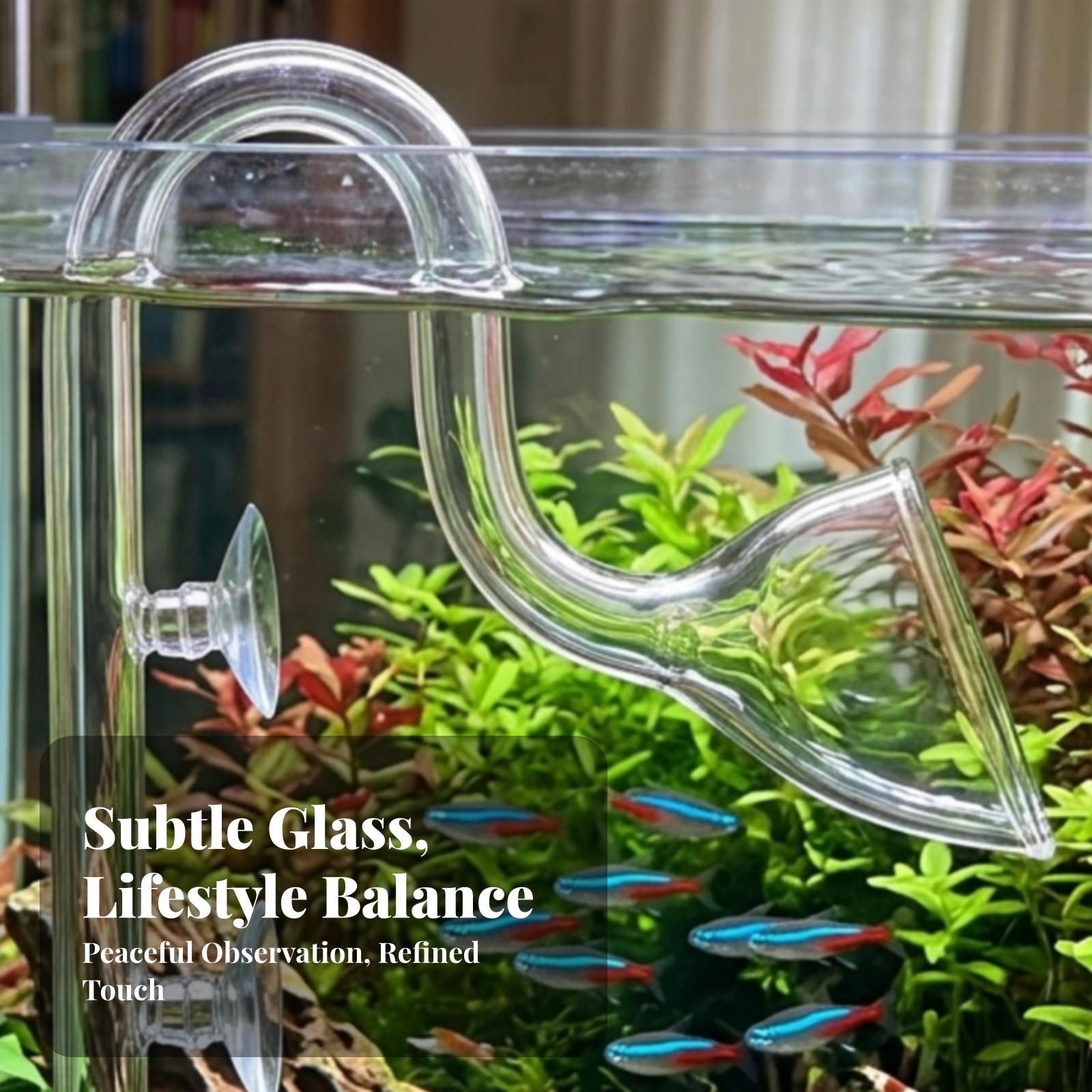 Set Pipa Lily Transparan untuk - Planted Aquarium Aquascape ulasan dan harga