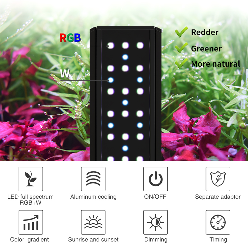 Lampu Akuarium LED Spektrum Pe - Planted Aquarium For Sale ulasan dan harga