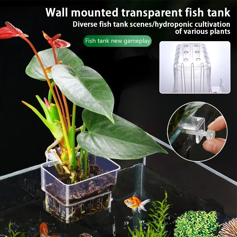Pot Tanaman Gantung Akuarium,  - Aquarium Planted Wall ulasan dan harga