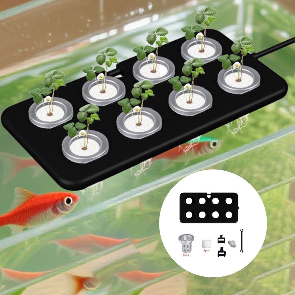 Keranjang Tanam Papan Apung Ak - Aquarium Planted Wall ulasan dan harga