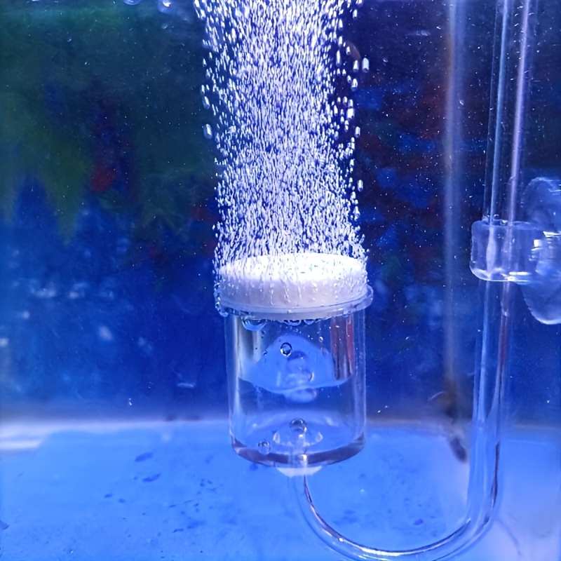 Aquarium kaca CO2 Atomizer Dif - Aquarium Plant Order ulasan dan harga