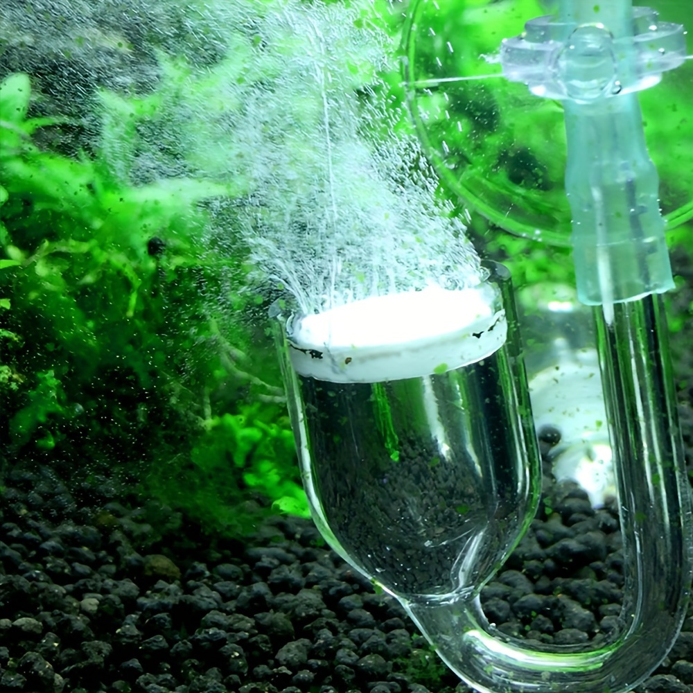 Aquarium kaca CO2 Atomizer Dif - Aquarium Plant Order ulasan dan harga