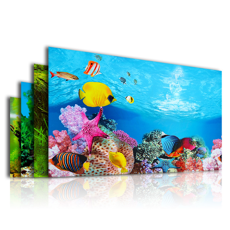 Latar Belakang 3D untuk Akuari - Planted Aquarium Wallpaper ulasan dan harga