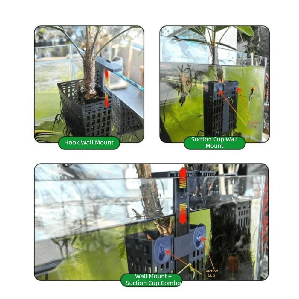 Tempat Tanaman Air Gantung Din - Aquarium Planted Wall ulasan dan harga