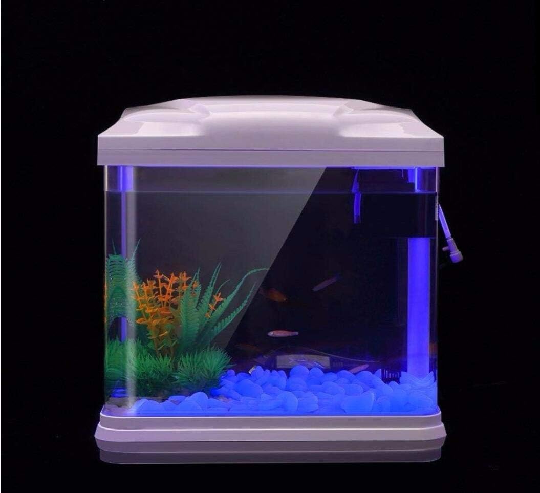 Batu Tangki Ikan Kerikil Biru  - Aquarium Plant Order ulasan dan harga