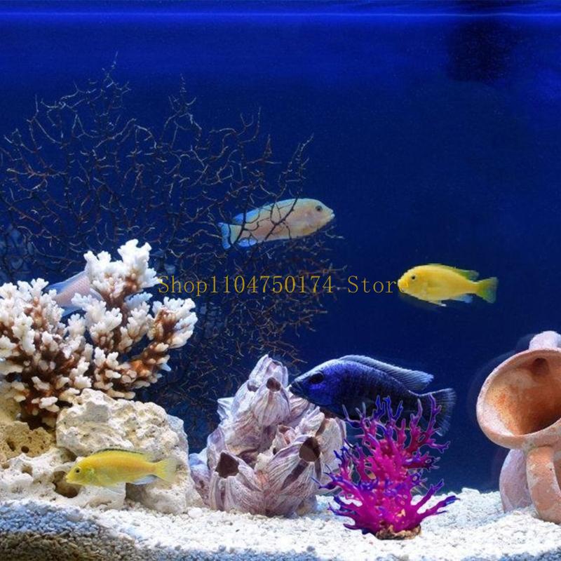 Tanaman Hias Pohon Buatan Tana - Planted Aquarium For Sale ulasan dan harga
