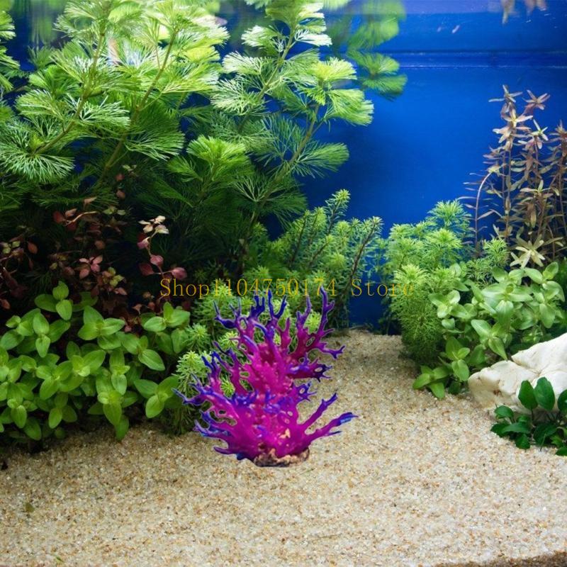 Tanaman Hias Pohon Buatan Tana - Planted Aquarium For Sale ulasan dan harga