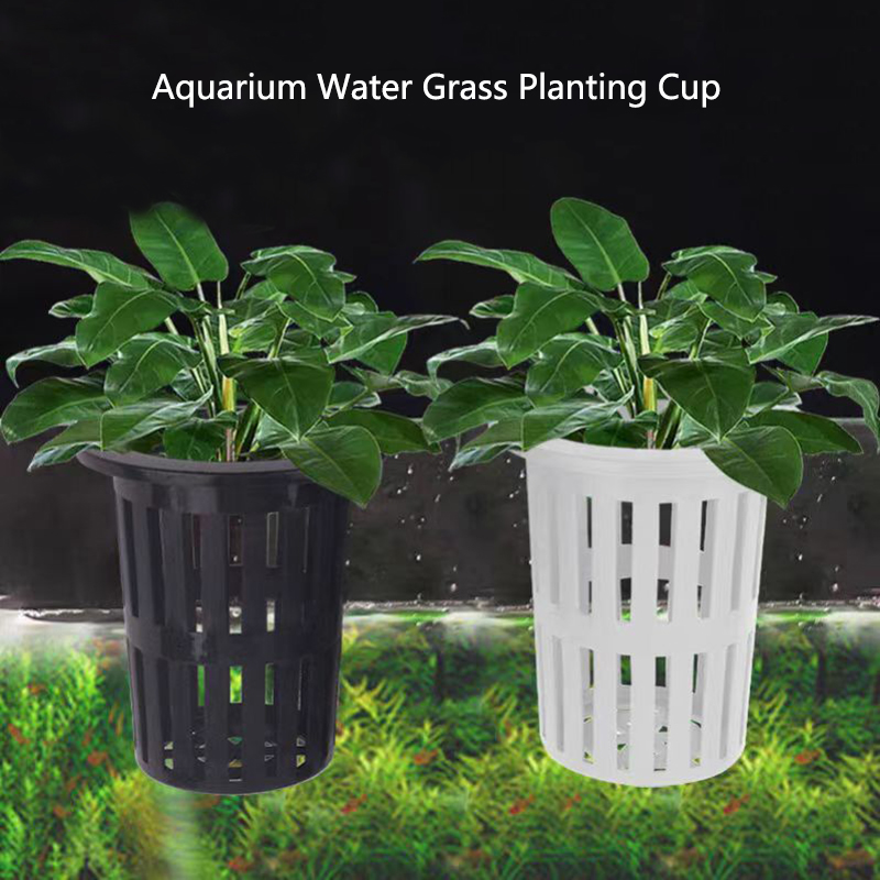 1/3 Buah Keranjang Tanaman Aku - Aquarium Planted Wall ulasan dan harga