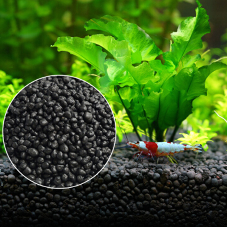 Bibit Tanaman Akuarium Tanah T - Aquarium Plant Order ulasan dan harga
