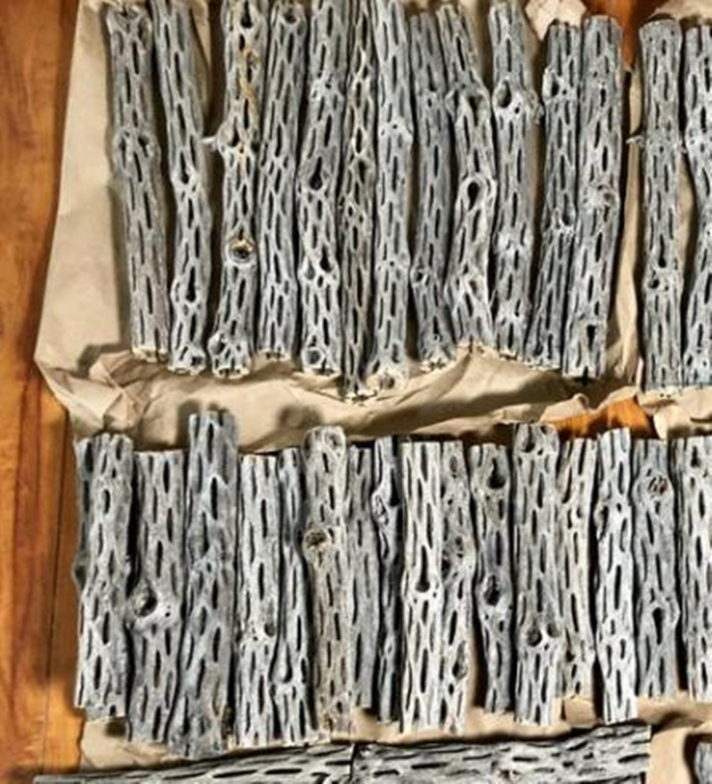 Akuarium Organik/alami, rumah  - Aquarium Plant Seeds ulasan dan harga
