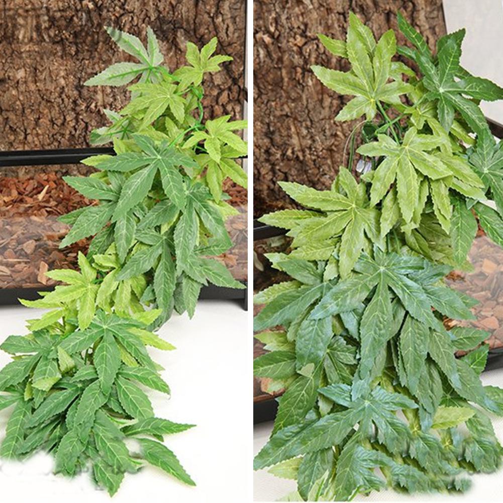 Diskon Besar 30/40/50CM Akuari - Planted Aquarium For Sale ulasan dan harga