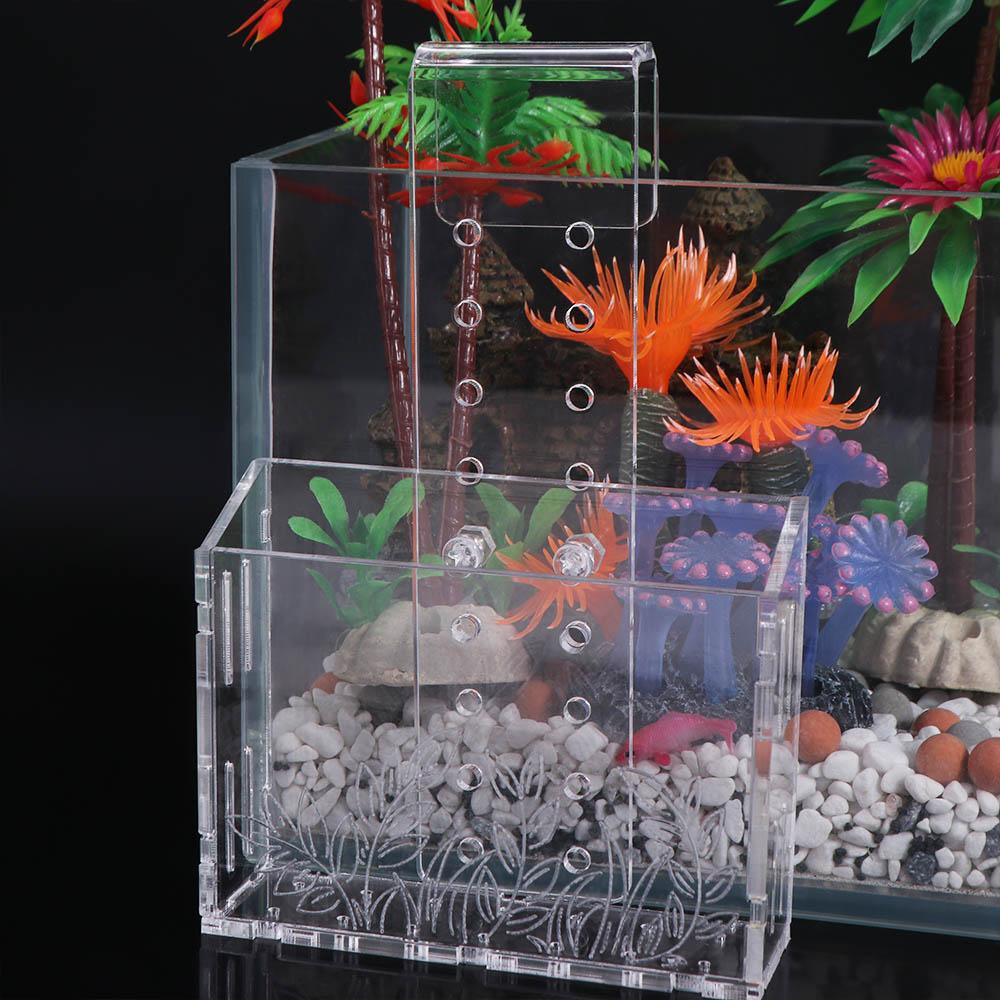 Cangkir Tanaman Akuarium Gantu - Aquarium Planted Wall ulasan dan harga