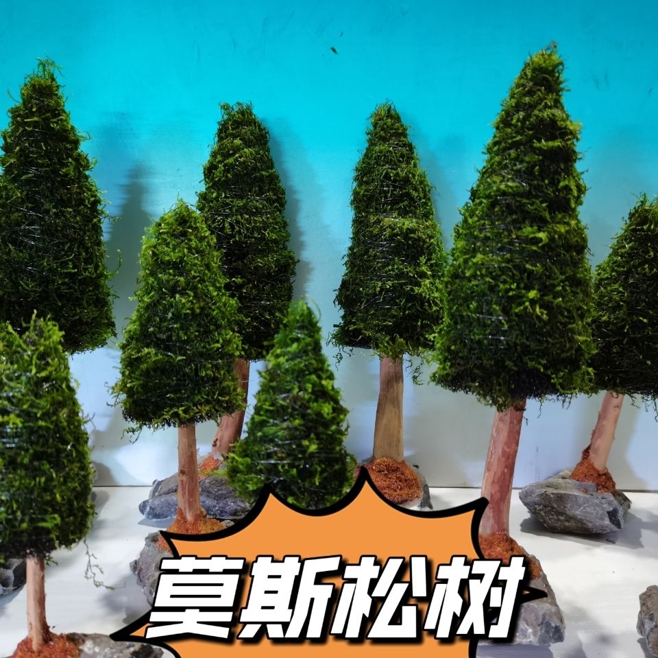 Dekorasi Akuarium Tanaman Air  - Aquarium Plant Seeds ulasan dan harga